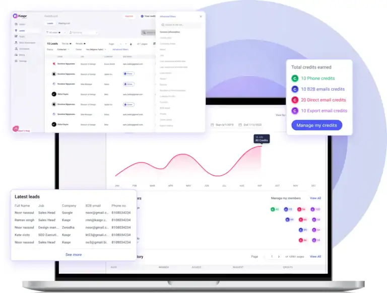 Kaspr: Dashboard overview