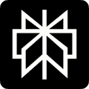 Perplexity Computer